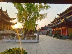 -上海东林寺(金山区)