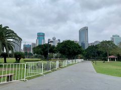 -万绿园