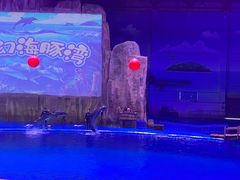 -华夏文旅海洋公园