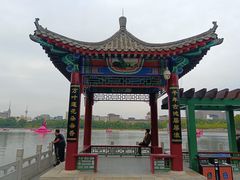-莲花池公园