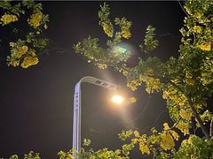 -南丰汇(新港东路店)