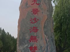 -银肯塔拉沙漠生态旅游景区