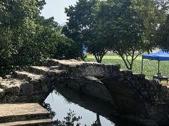 -村上春树
