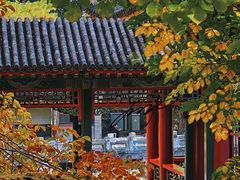 -颐和园