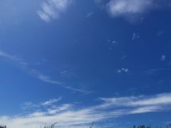 -鬼笑石后山停车场