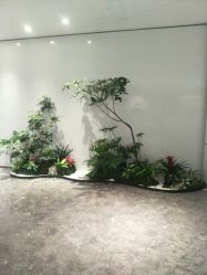 -广州美莱医疗美容医院