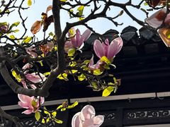 -水绘园
