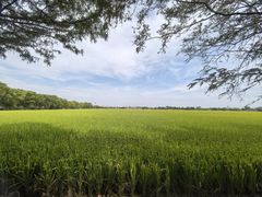 -嘉北郊野公园
