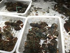 -郑庄脂渣海鲜楼(九水路店)