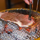 🔥388元畅吃吃千元品质和牛烧肉