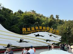 -西双版纳原始森林公园