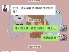 -伟伟宠物医院·CT影像中心·瑞派犬猫综合性门诊(汉口总院)