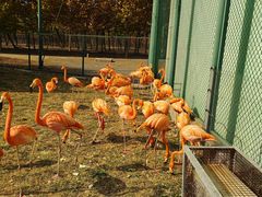 -秦皇岛野生动物园