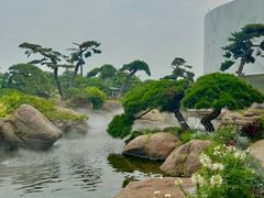 -罗红摄影艺术馆