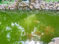 -棕榈岛海鲜自助餐厅(虹桥迎宾馆店)