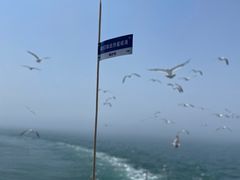 -海驴岛(荣成市)