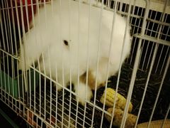 -南京夫子庙国际青年旅舍(平江府路店)