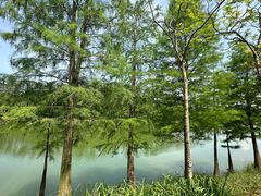 -凤岗南门山森林公园