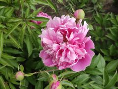 -长春公园(普阳街道)