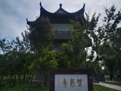 -盐城丹顶鹤湿地生态旅游区