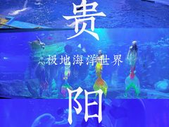 -多彩贵州城极地海洋世界