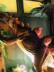 点击看大图 -恐龙探索乐园(磁器口店)