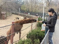 -大连森林动物园