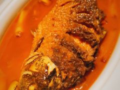 -阿五黄河大鲤鱼(纬三路店)