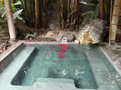 -和顺柏联温泉