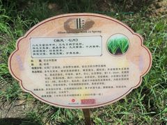 -广西壮族自治区药用植物园