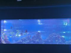 -重庆欢乐海底世界