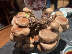-捞王锅物料理(金华义乌之心店)