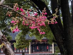 -寒山寺