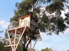 -福建鲤鱼洲酒店