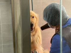 -宠福鑫康馨动物医院·骨科·眼科