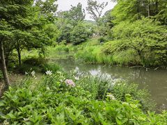 -无锡梅园公园