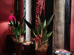 -花马天堂云南餐厅 Lost Heaven(外滩店)