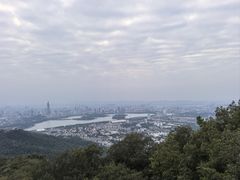 -紫金山山顶公园
