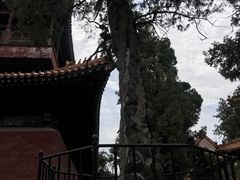 -孔府