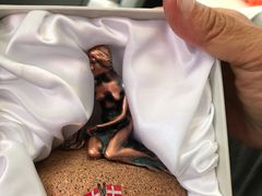 -美人鱼