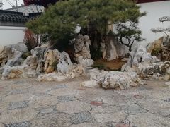 -宝鸡植物园