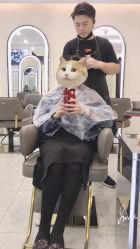 -上禾 HAIR SALON