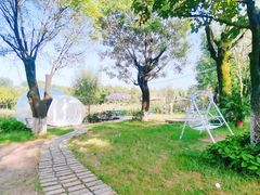 -Supine Bistro溯泮餐厅