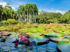 -中国科学院西双版纳热带植物园