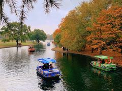 -上海共青森林公园