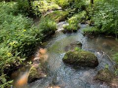 -五营红松林海景区