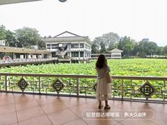 -荔湾湖公园