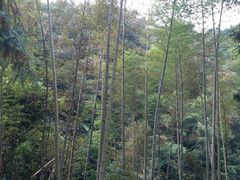 -南昆山川龙瀑布