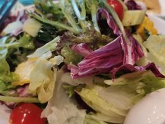 蔬菜色拉-申宴酒楼(王子百货店)