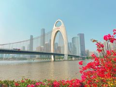 -洲头咀公园
